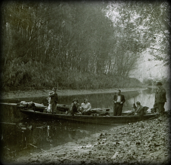 Na večerný ťah husí...