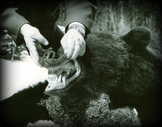 Vzbudzujúca rešpekt...