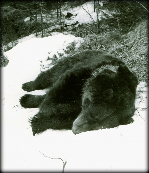 Na ľubochnianskom jarnom snehu...
