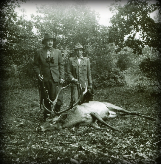 Septembrové ráno...