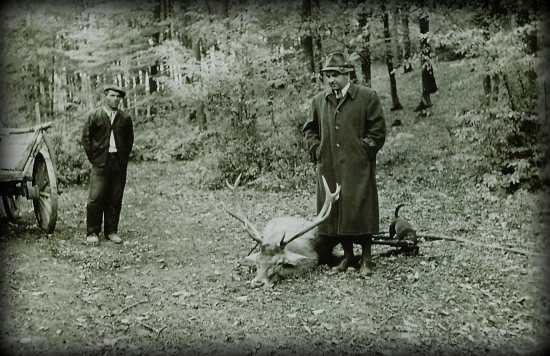 V poľovníckom  zamyslení...