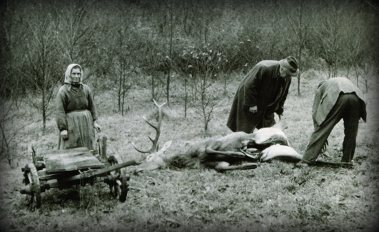 Momenty z poľovníckeho života...