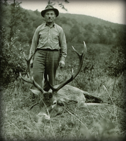 Medzi mladými bučkami...