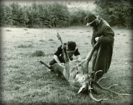 Pri červenej robote...