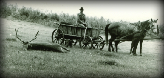 S došteňákom pre jeleňa...