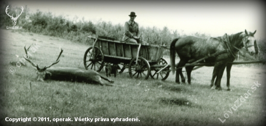 S došteňákom pre jeleňa...