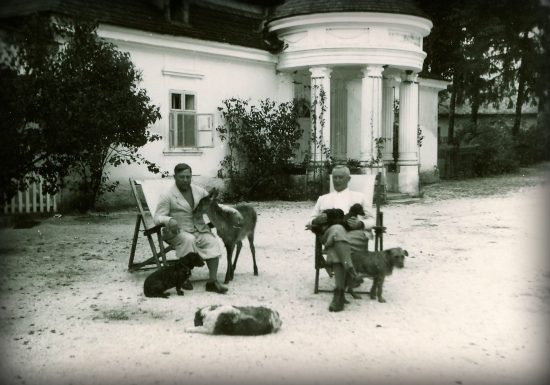 U zemanov na dvorku ...