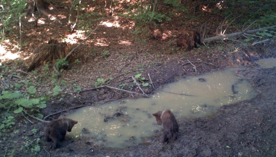 Prvý krát v zrkadle ...