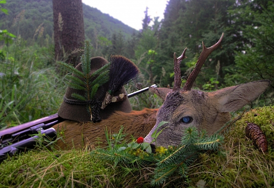 Za kloboukem zelený úlomek ...