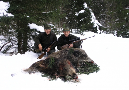 Na rannom pirši ...