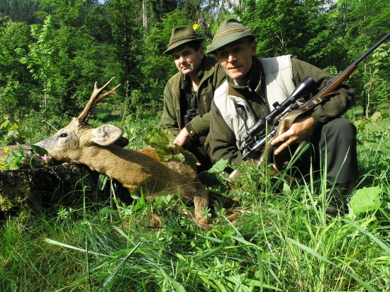 Za rána za rosy ...