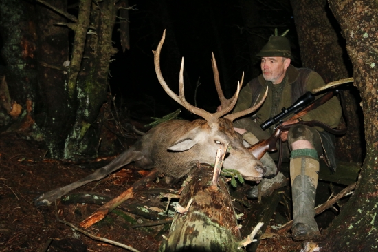 Dva týždne v divočine ...