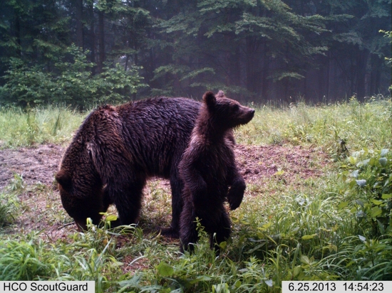 Neboj, postrážim ťa ...
