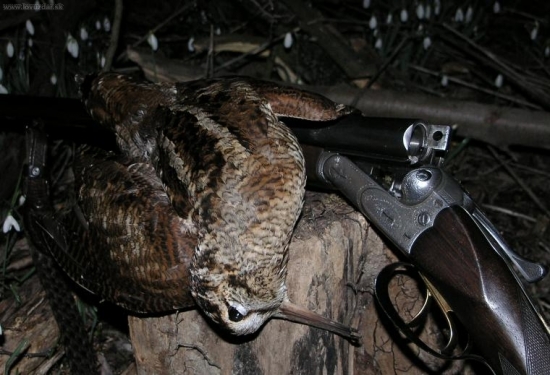 Medzi snežienkami ...