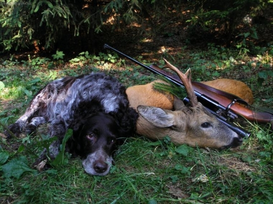 Po úspešnej dohľadávke...