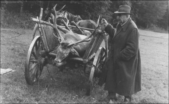 Takto dakedy odchádzali jeleni z revíru (starý otec)