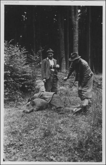 Aký by to bol prvý diviak bez riadneho pasovania...