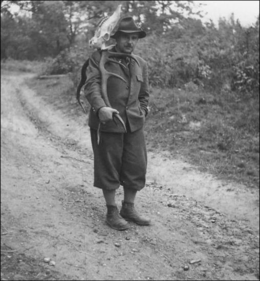 Úspešná ruja (jeleň ID 62782)