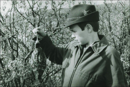 Fascinácia,očarenie? Neviem.Viem však, že je to na celý život...