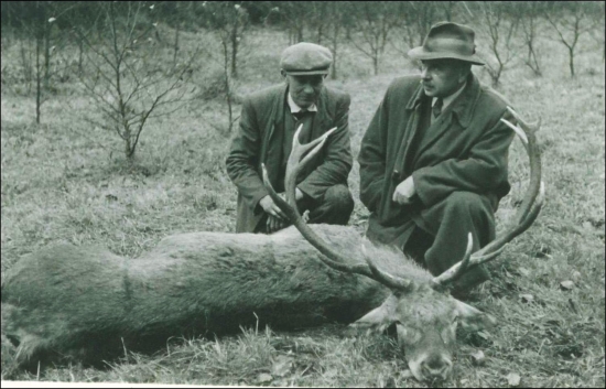Jeleň z Opatovej.../starý otec/