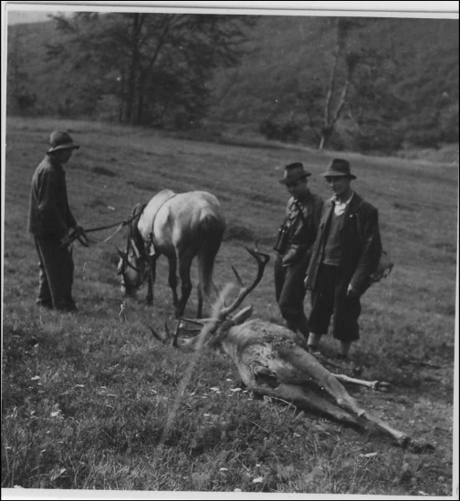 V neprístupných terénoch bol kôň neoceniteľný pomocník/otec/