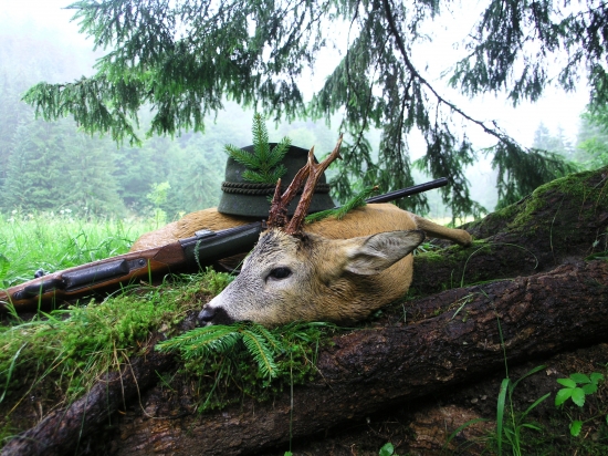 Pozdrav z Belianskej doliny...