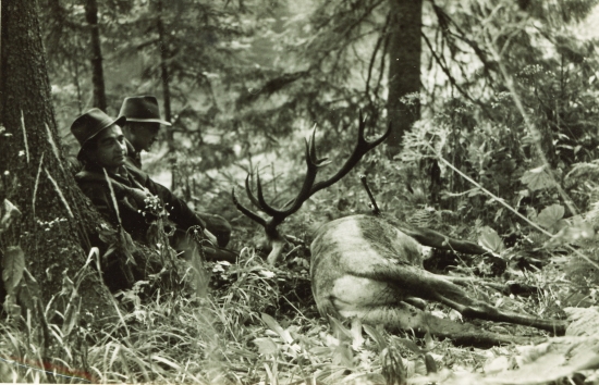 Dokonalá jeleniarska nálada...