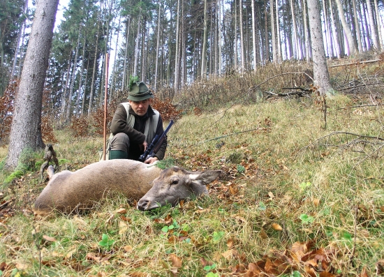 Z novembrového piršu...