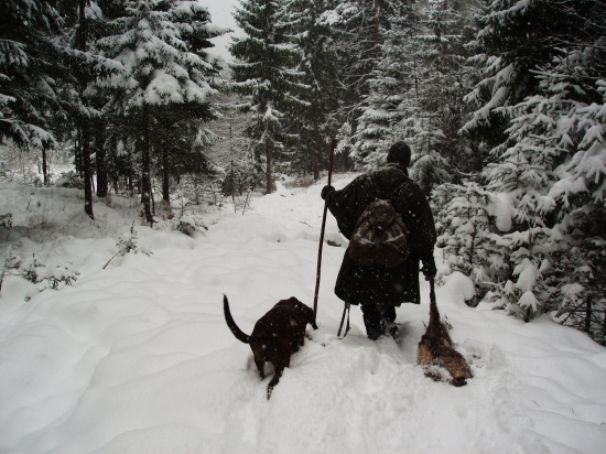 Weidmannsheil z Rakúskych Álp...