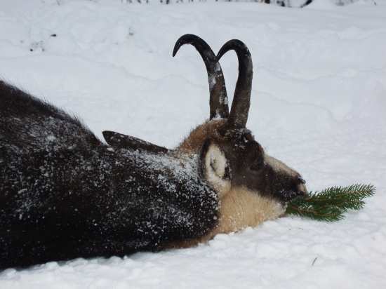 Veľký zážitok,nové skúsenosti...