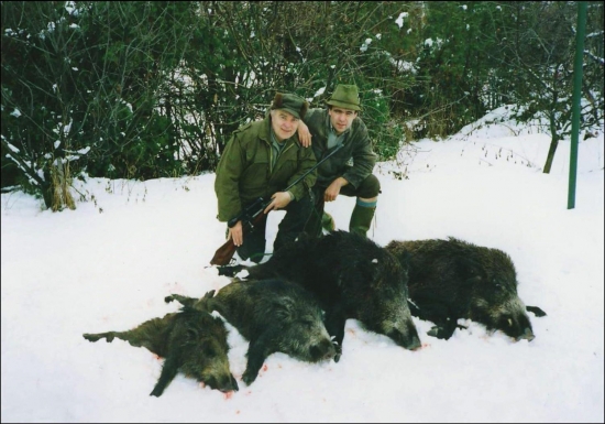 Vianočné rozprávanie o mojom prvom diviakovi...