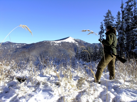 Zasneženými hrebeňmi za diviakmi...