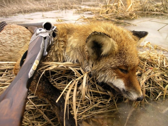 Z úcty k úlovku...