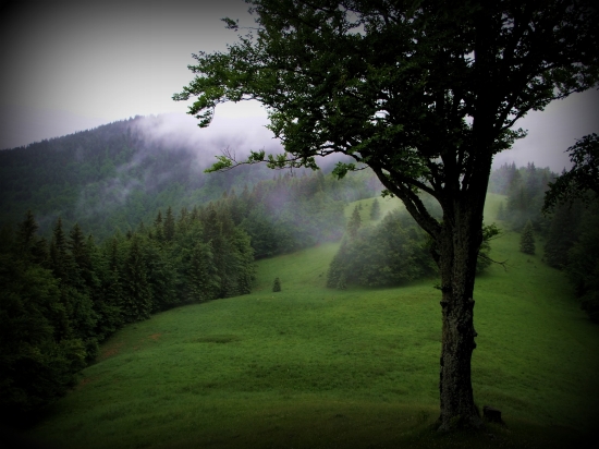 V sychravom počasí pod Borišovom...