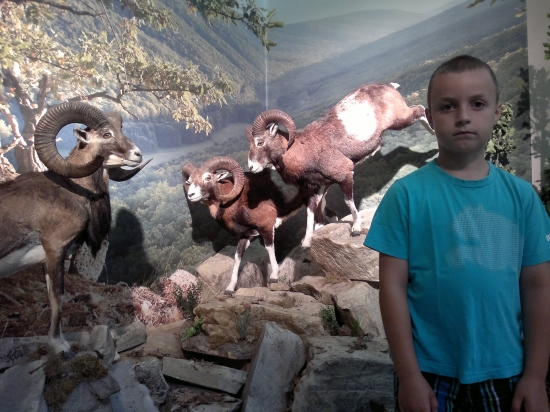 Vystava Incheba 2011