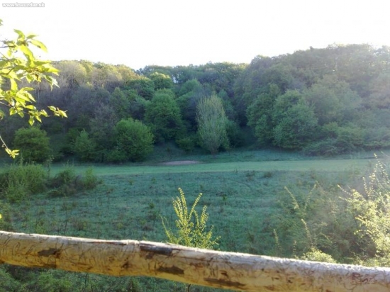 Dnes rano pohlad na nase policko