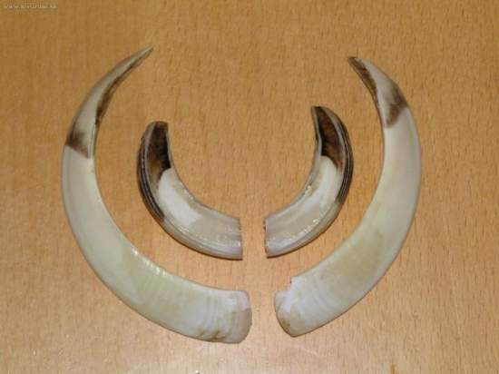 Včera podvečer, 17cm