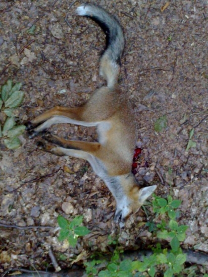 Toto je tá štvrtá