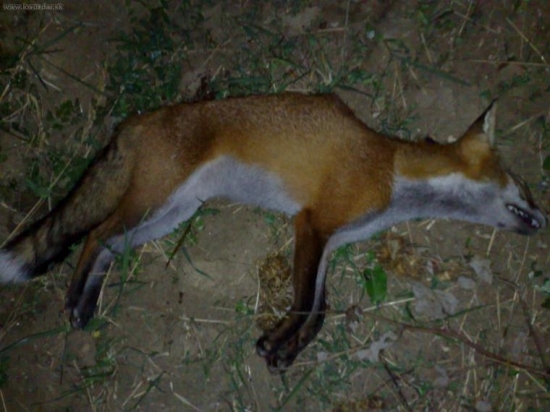 Včera podvečer, desiata toho roku.