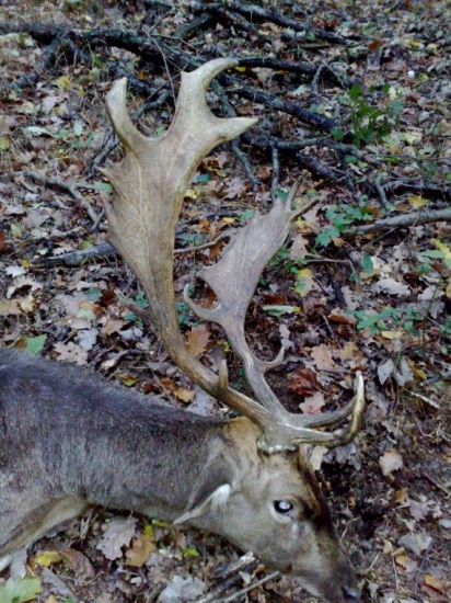 3 vekova, zadarilo sa.