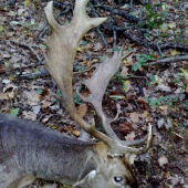 3 vekova, zadarilo sa.