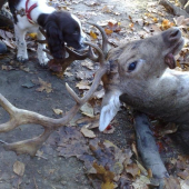 Daniel 2VT, kamaratovi sa dnes zadarilo.