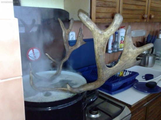 Vyvaranie daniela 2VT doma