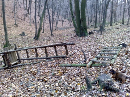 No niesu to hoväda?!