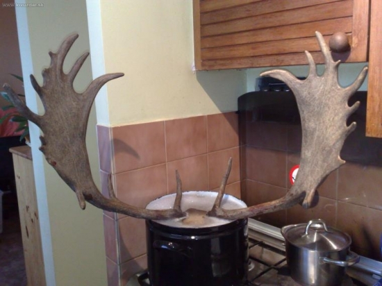 Zatoto ma manželka miluje