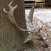 Dostal som cerveny bod, že vraj ma len 4 roky.