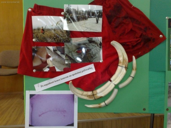 Naša nastenka na chovatelskej prehliadke