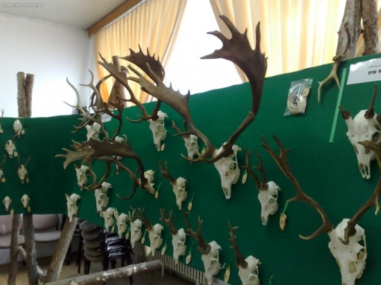 Chovatelska vystava v Bratislave