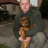 AJD 6 mesiacov