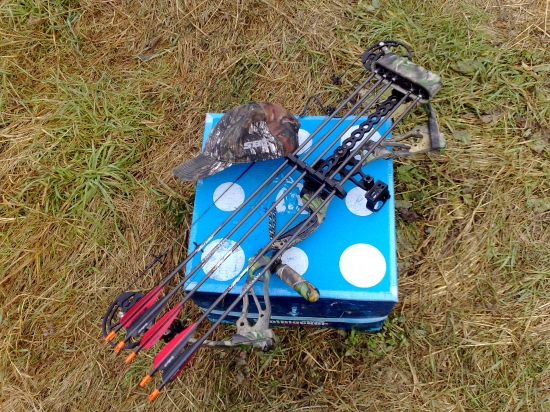 Kamaratova nová vášen